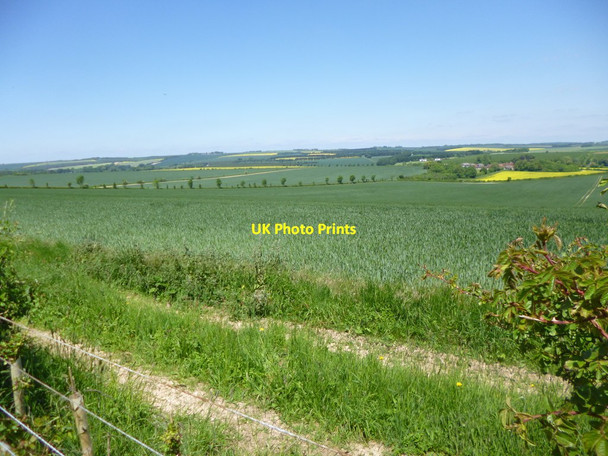 Photo 6"x4" Damerham, cropland Rockbourne c2013