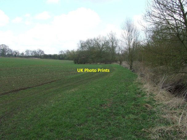 Photo 6"x4" Footpath And Field Boundary Delvin End c2013