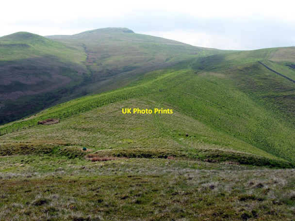 Photo 6"x4" Dere Street Upper Hindhope c2013