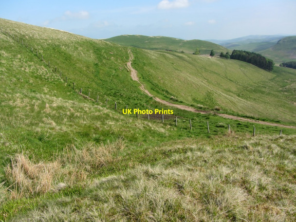 Photo 6"x4" Dere Street south of Old Streethouse Upper Hindhope c2013