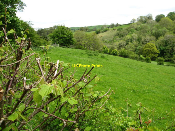 Photo 6"x4" Mixed grazing and woodland Derwen\/SJ0650 c2013