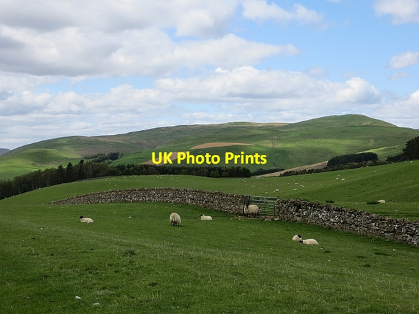 Photo 6"x4" Field on the Pennine Cycleway Clennell c2013