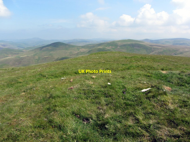 Photo 6"x4" Blackhall Hill Upper Hindhope c2013