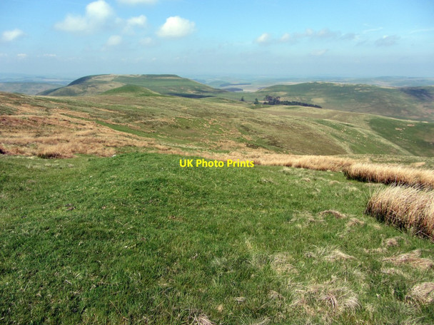 Photo 6"x4" Moorland north of Blackhall Hill Upper Hindhope c2013
