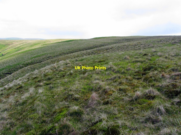 Photo 6"x4" Scraesburgh Fell Upper Hindhope c2013
