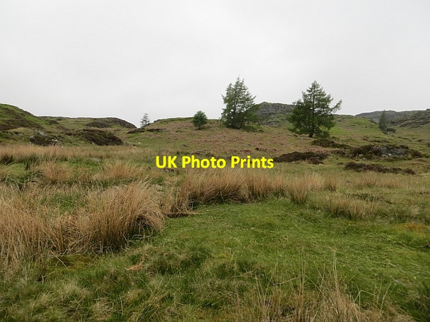 Photo 6"x4" Moorland, Loch Ordie Guay c2013