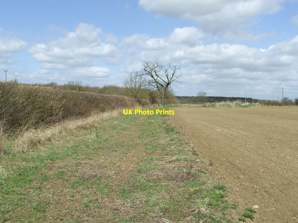 Photo 6"x4" Field Boundary Radwinter End c2013