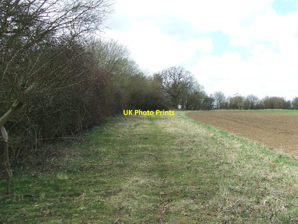 Photo 6"x4" Footpath And Field Boundary Hempstead\/TL6338 c2013