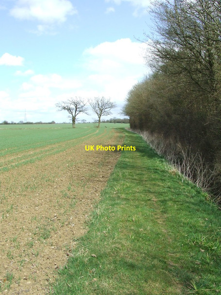 Photo 6"x4" Path And Field Boundary Radwinter End c2013