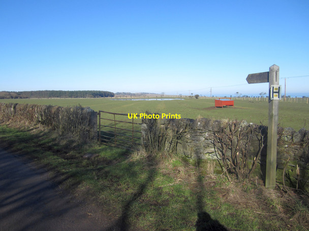 Photo 6"x4" Public bridleway to Scremerston Town Farm Cheswick c2013