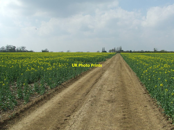 Photo 6"x4" Footpath To Great Yeldham Great Yeldham c2013