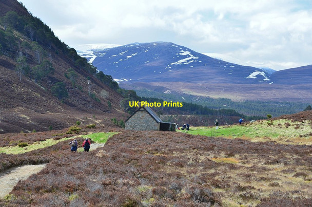 Photo 6"x4" Ryvoan Bothy from the northeast Ryvoan Bothy c2013