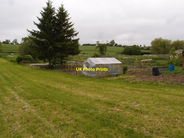 Photo 6"x4" Dadford Allotments Dadford c2013