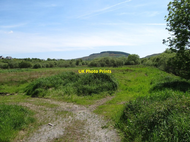 Photo 6"x4" Wetland south of the B113 Forkhill c2013