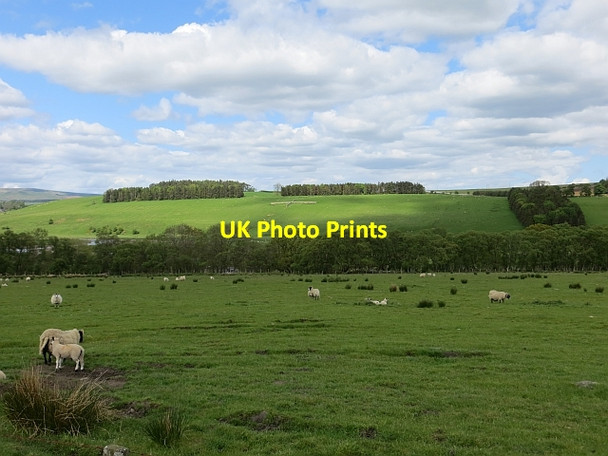 Photo 6"x4" Coquet flood plain Holystone c2013
