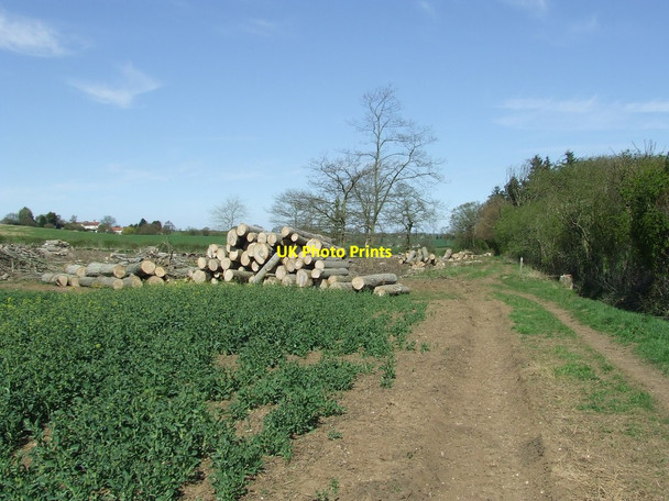 Photo 6"x4" Tree Clearance Bulmer\/TL8440 c2013