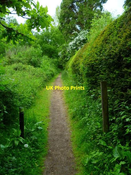 Photo 6"x4" The Orange Way after Wiltshire (73) Winterbourne\/SU4572 c2013
