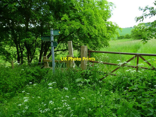 Photo 6"x4" The Orange Way after Wiltshire (74) Winterbourne\/SU4572 c2013