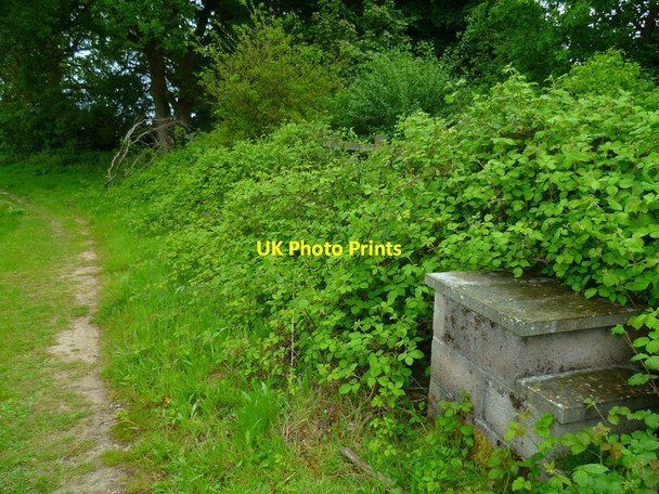 Photo 6"x4" The Orange Way after Wiltshire (81) Winterbourne\/SU4572 c2013