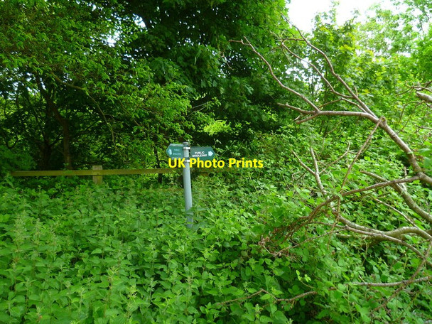 Photo 6"x4" The Orange Way after Wiltshire (82) Winterbourne\/SU4572 c2013