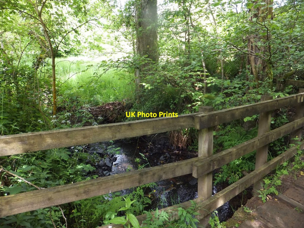 Photo 6"x4" Footbridge over small tributary of Little Dart River East Worlington c2013