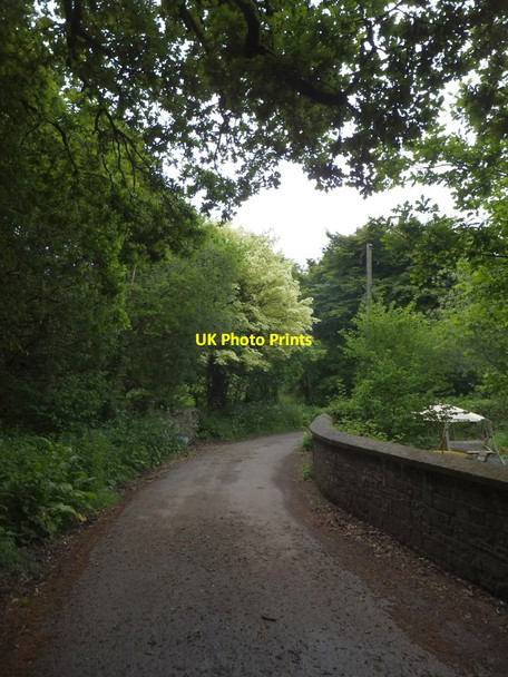 Photo 6"x4" Small bridge near Milltown West Worlington c2013