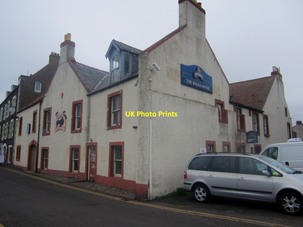 Photo 6"x4" The Whale Hotel, Eyemouth Eyemouth c2013