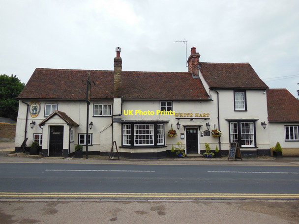 Photo 6"x4" The White Hart, Roydon Roydon\/TL4010 c2013