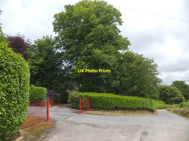 Photo 6"x4" Affeton Castle grounds and gate West Worlington c2013