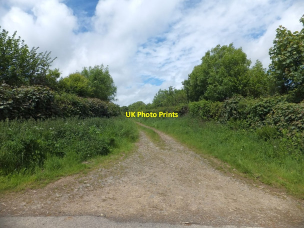 Photo 6"x4" Cheldon Barton Moor Lane Cheldon c2013