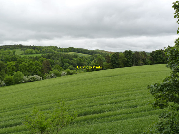 Photo 6"x4" Tweed Valley Newstead\/NT5634 c2013