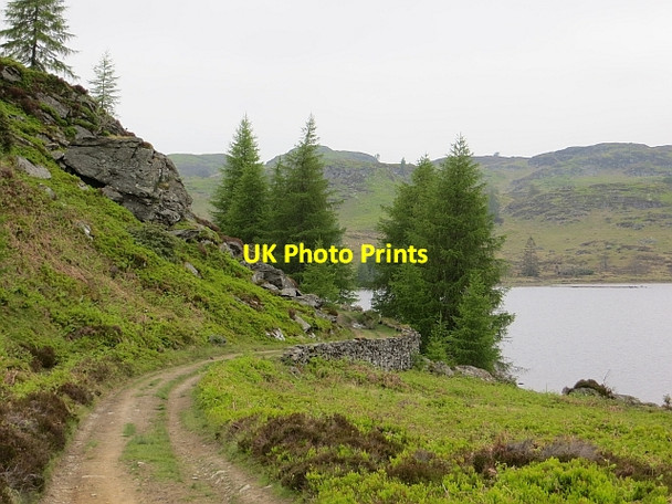 Photo 6"x4" Road, Loch Ordie Guay c2013
