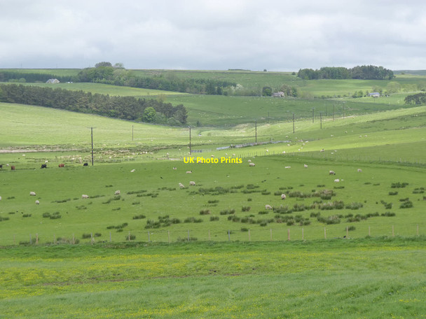 Photo 6"x4" Northumbrian farmland Raylees c2013