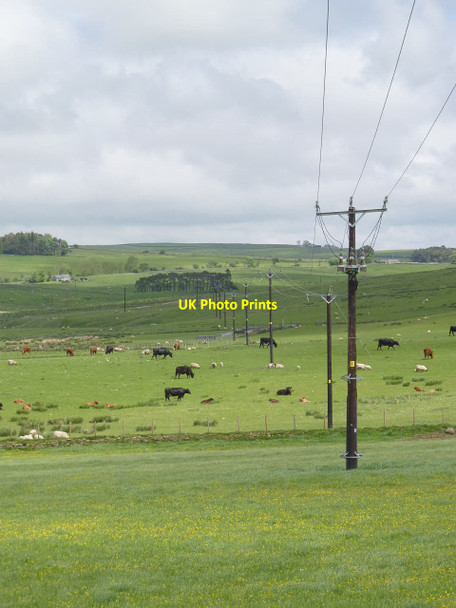 Photo 6"x4" Rural power supply Raylees c2013