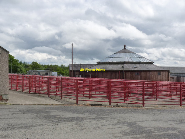 Photo 6"x4" Livestock market at Scots Gap Scots' Gap c2013