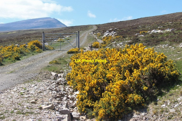 Photo 6"x4" Access to Laid waterworks Laid\/NC4159 c2013