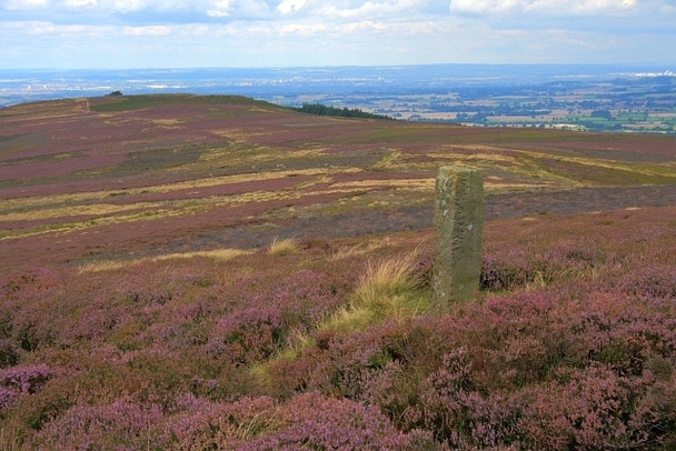 Photo 6"x4" Boundary Stone, Urra Moor Urra c2008