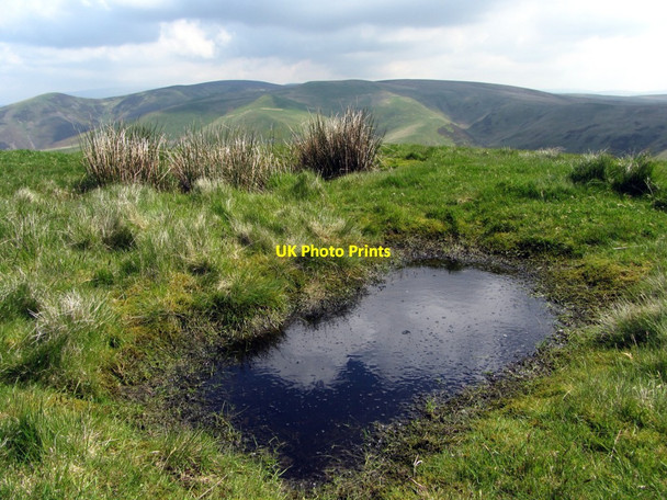 Photo 6"x4" Small ponds north-east of Raeshaw Fell Broad Law\/NT7913 c2013
