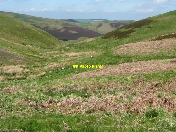 Photo 6"x4" Looking down the valley of the Bucht Burn Chatto c2013