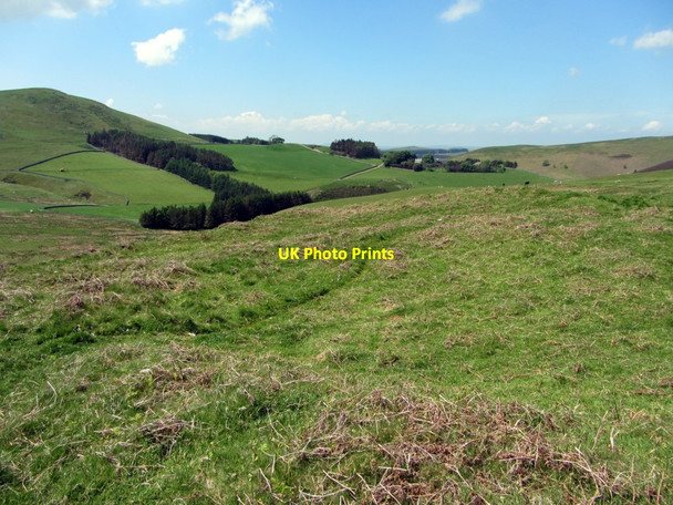 Photo 6"x4" Settlement south-west of Kielhope Law Chatto c2013