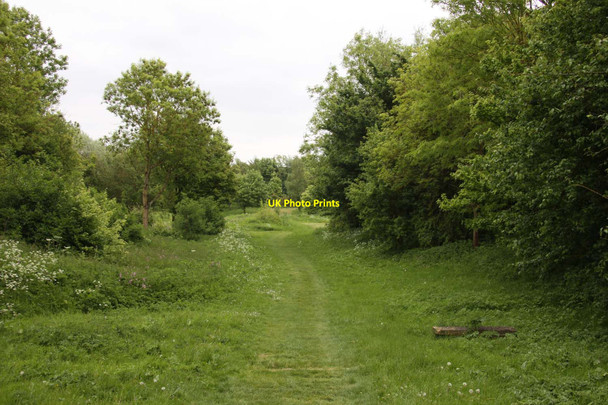Photo 6"x4" The Cotswold Way at Fish Hill Picnic Area Broadway\/SP0937 c2013