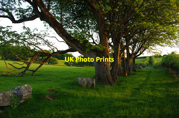 Photo 6"x4" Laithbutts Lane, Nether Kellet Carnforth c2013