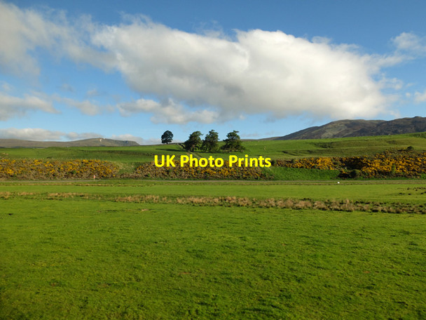 Photo 6"x4" Floodplain of the Spey Kingussie c2013