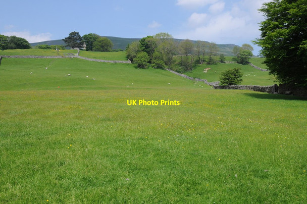 Photo 6"x4" Grazing land at Hardraw Hardraw c2013