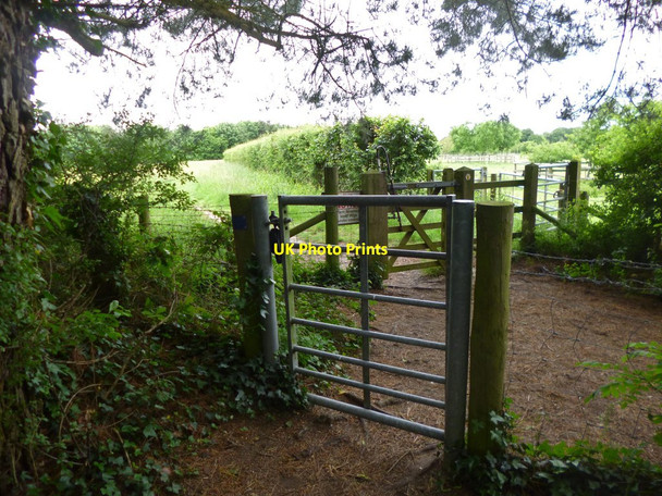 Photo 6"x4" Bestwall, gates Wareham c2013