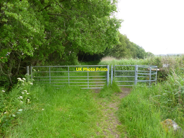 Photo 6"x4" Swineham, kissing gate Wareham c2013