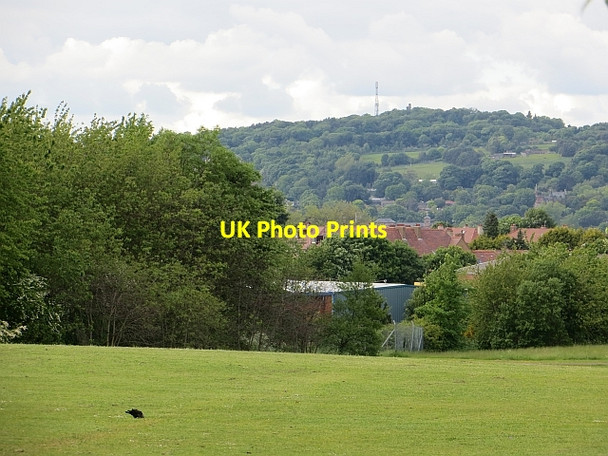 Photo 6"x4" Hailes Quarry Park Kingsknowe c2013