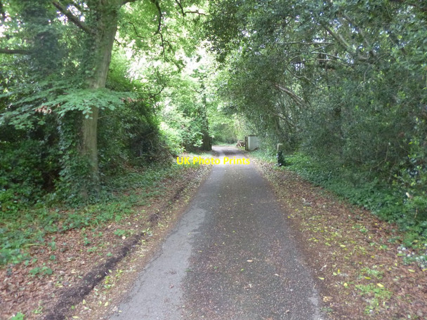 Photo 6"x4" Bestwall, access road Wareham c2013