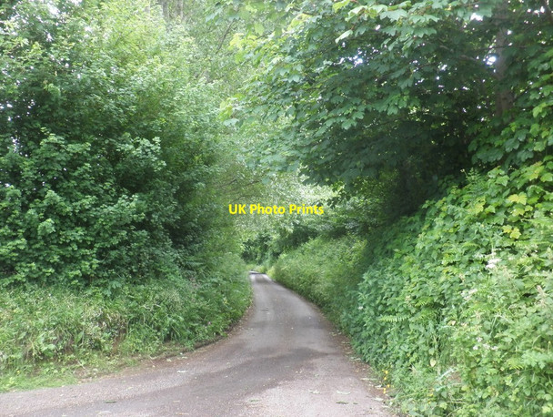 Photo 6"x4" Tetton Lane East Lydeard c2013