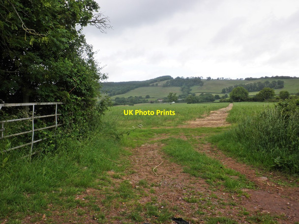 Photo 6"x4" Footpath near Middlebrooks Cothelstone c2013